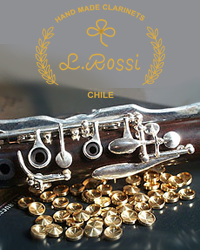 Кларнети Luis Rossi